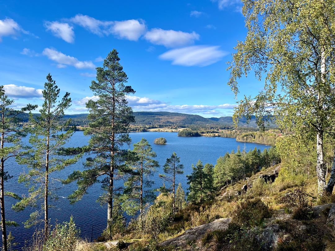 Maridalsvannet