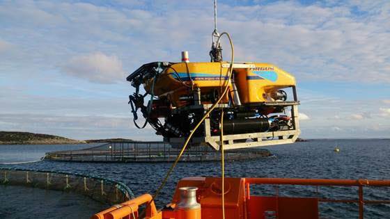 MerdROV - Utvikling av ROV som verktøy for automatiserte simultane notoperasjoner i oppdrettsmerd