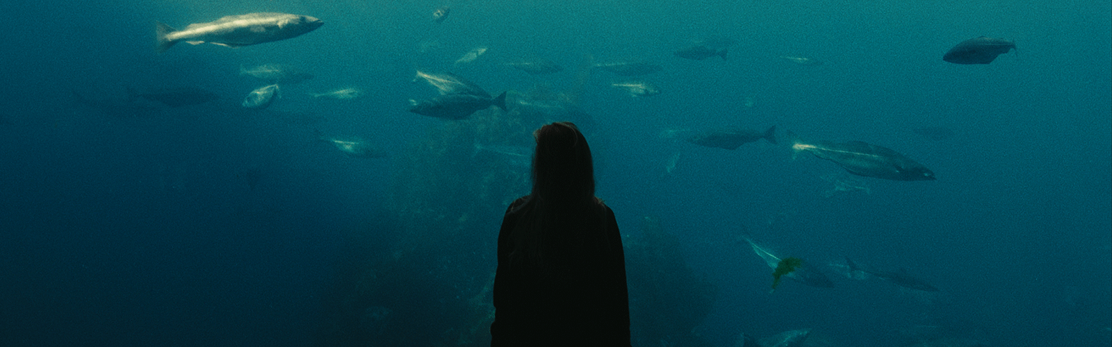 LURING – interesseøking av lite utnyttede ressurser (LUR) fra havet