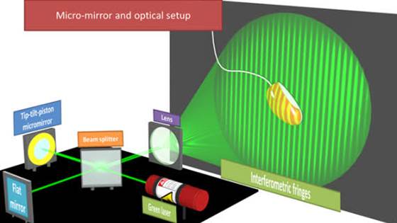 R3ASON – Real-time 3D Acquisition System with high resolution 