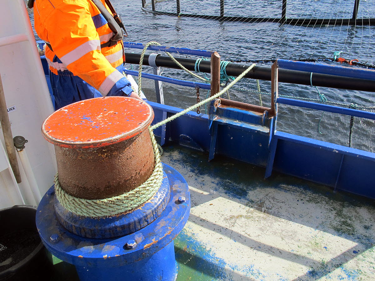 Tau og mann på dekk