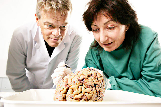 SINTEF hedrer Nobelprisvinnere