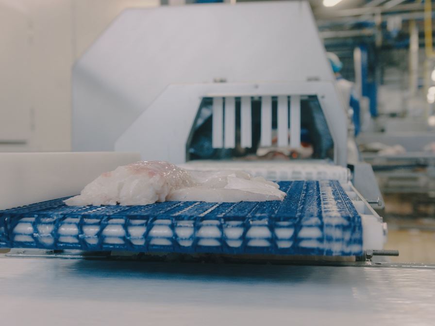 Automation in the Seafood Industry