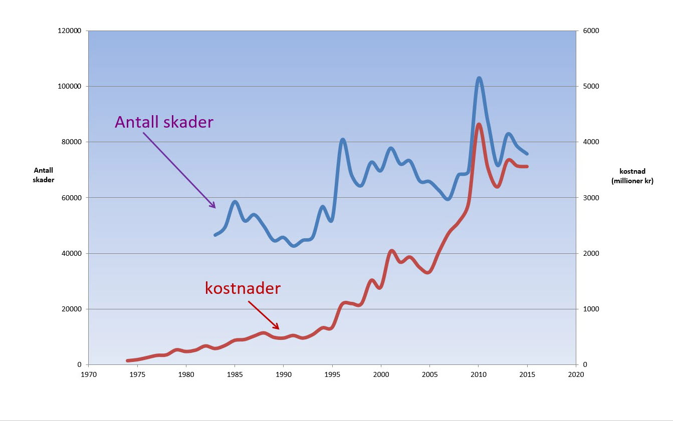 Vannskadestatistikk