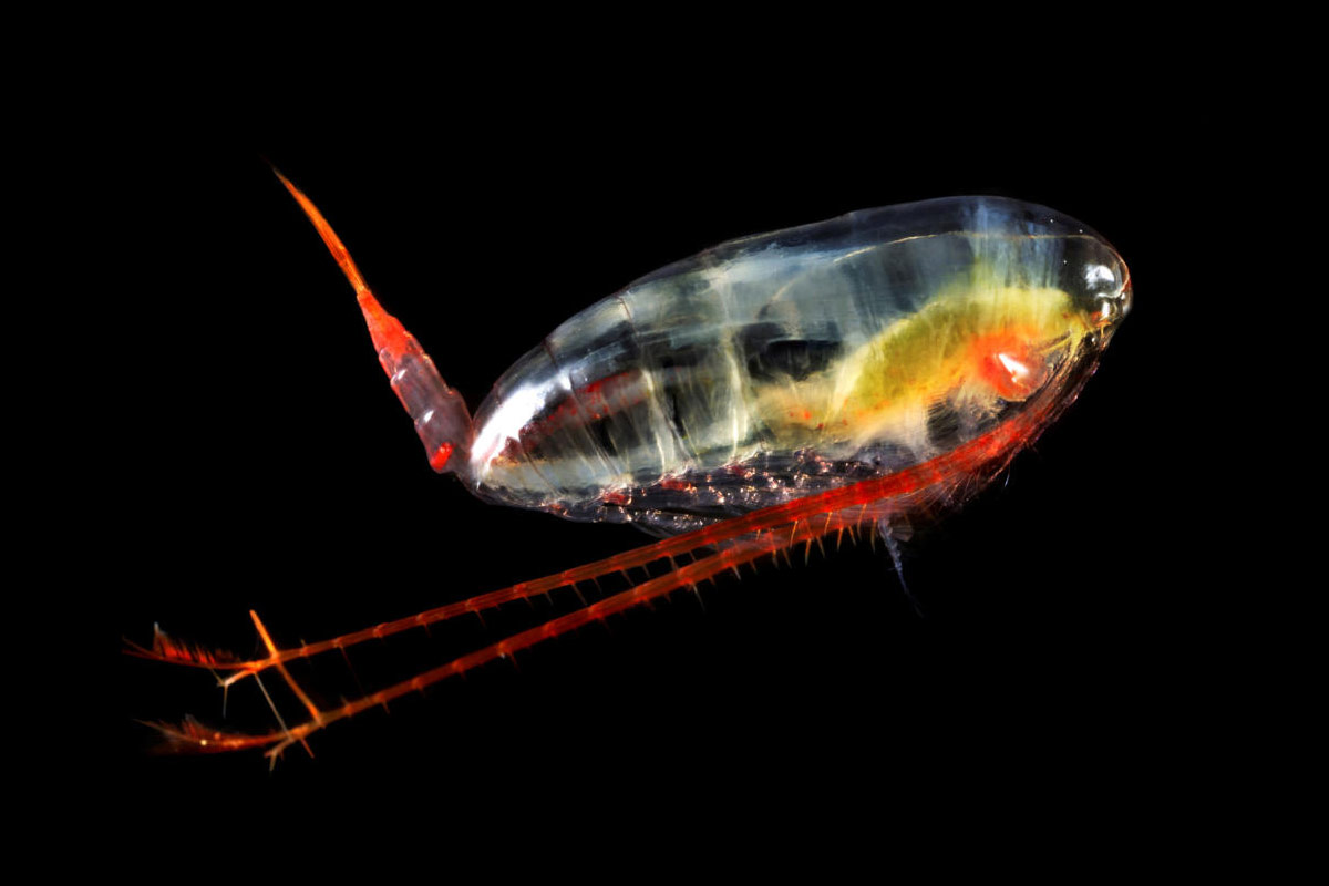 Commercial ship collects valuable research data