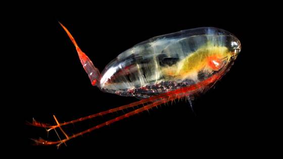 Commercial ship collects valuable research data