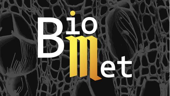 BioMet  –  Biocarbon in metal production-Transfer of research to industrial use