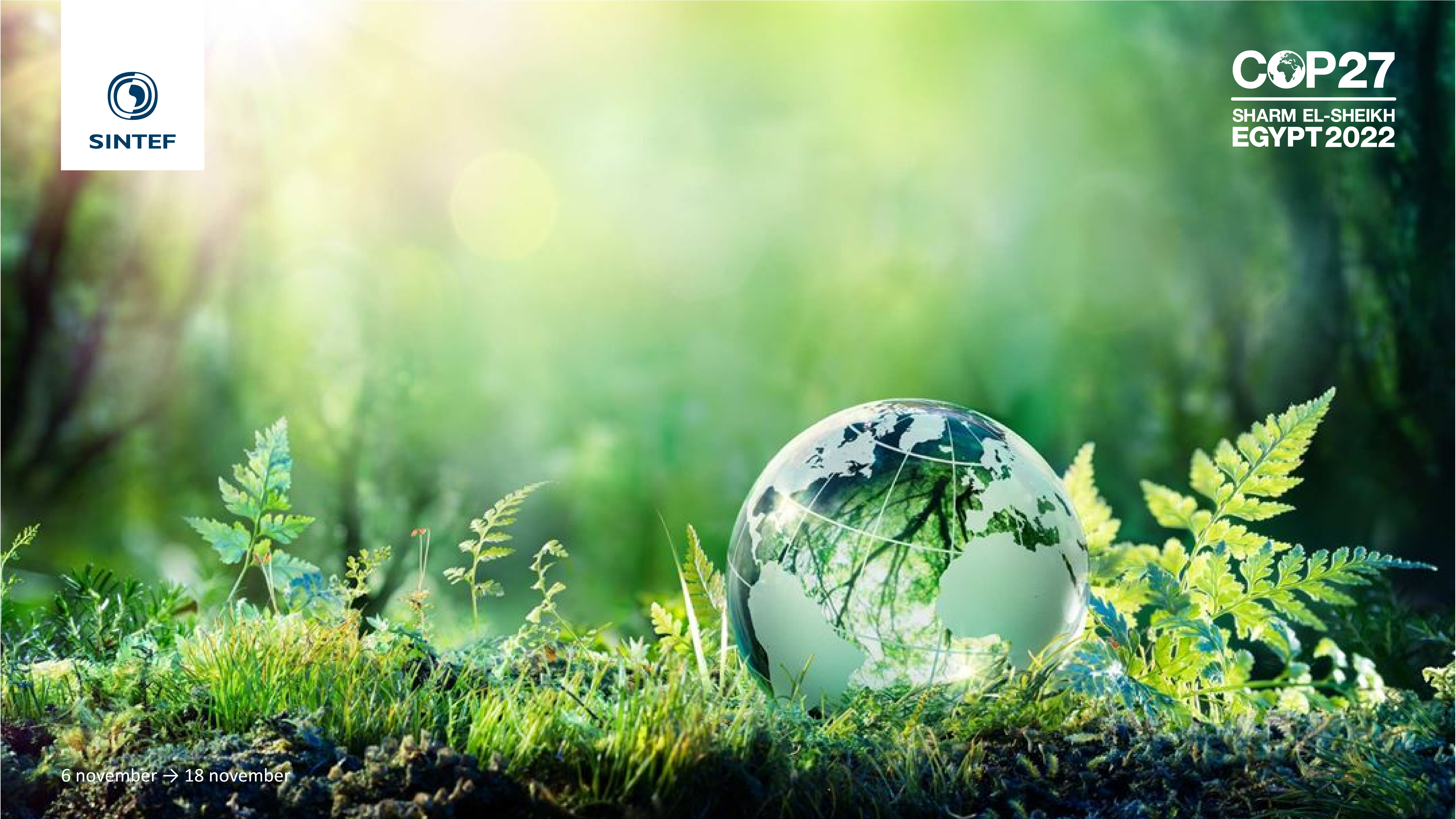 COP27 Event: Net Zero is not enough – Technologies for greenhouse gas removal [Video]