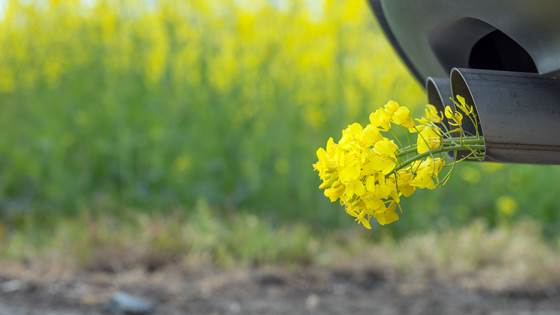 Slik kan vi produsere bærekraftig og kortreist drivstoff i Norge