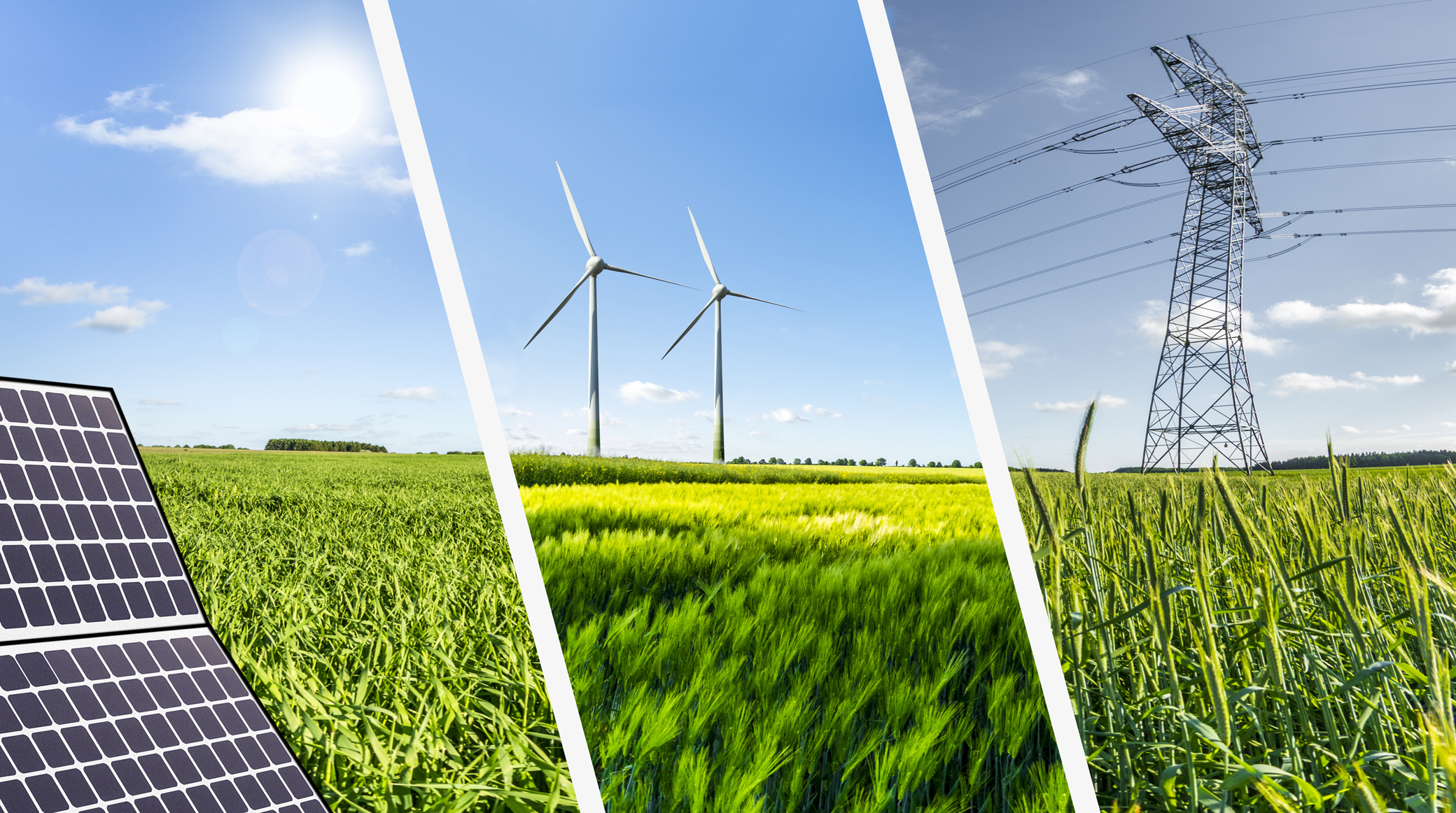 Flexible Solutions in the Grid