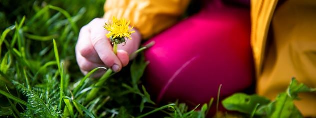 Sustainability in SINTEF