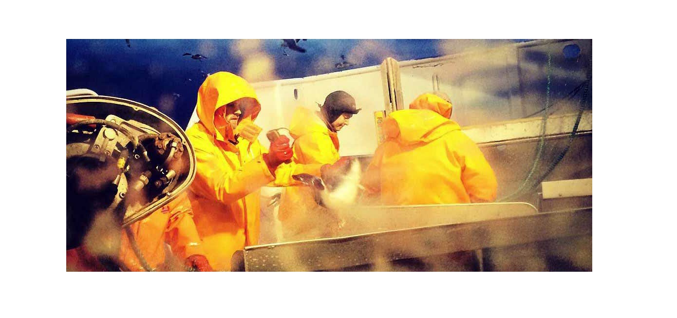 The impact of supply uncertainty on supply chain planning processes