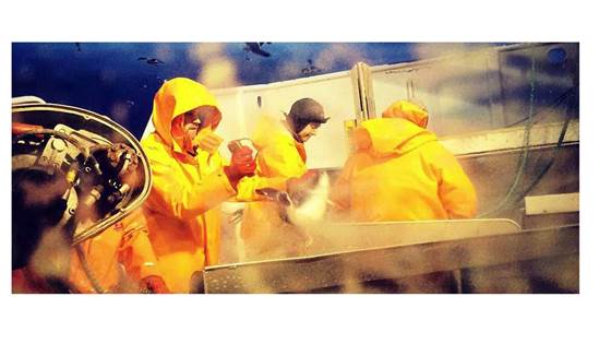 The impact of supply uncertainty on supply chain planning processes