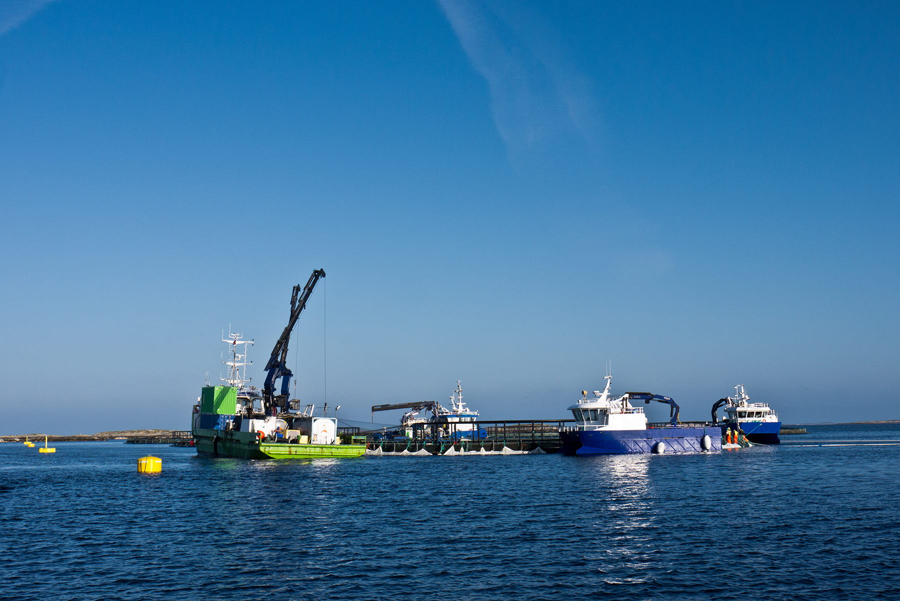 Servicefartøy og oppsmerd