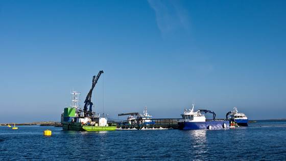 Ny undersøkelse om sikkerhet i havbruk