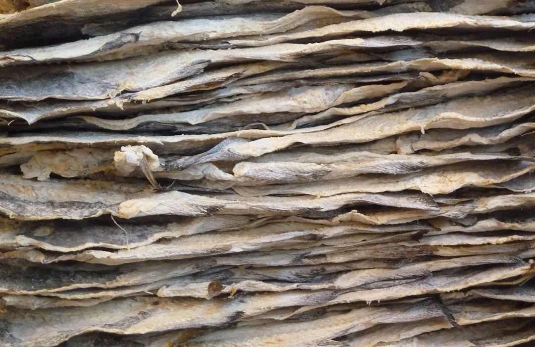 Klippfisk stablet oppå hverandre