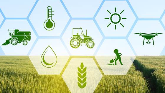 SMARAGD - Smart Agriculture Data Fusion for Decision Support