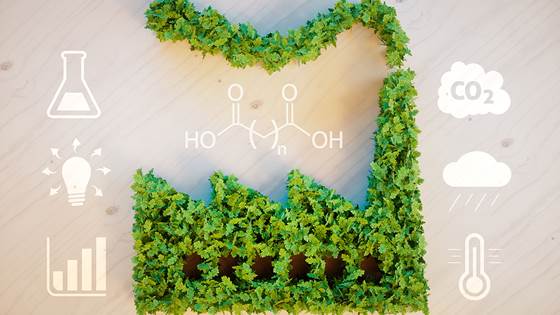 ELOXYCHEM – Electrochemical OXidation of cYclic and biogenic substrates for high efficiency production of organic CHEMicals