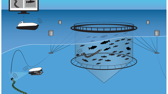 CHANGE - An underwater robotics concept for dynamically changing environments