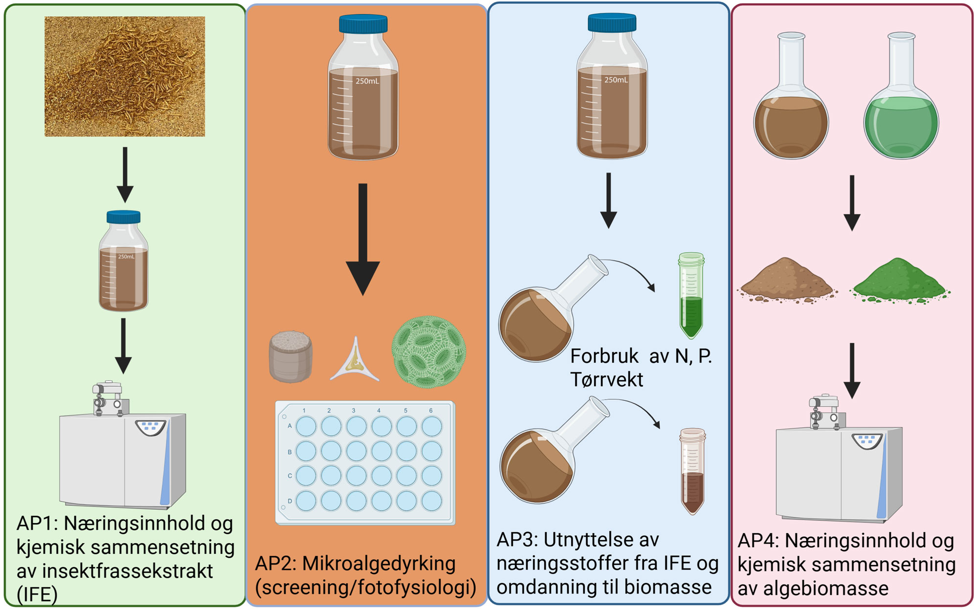ALGEFRASS – Insektfrassbasert sirkulærproduksjon av mikroalger som fôrråvare til kylling