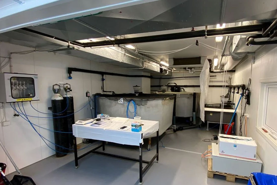 Lab with live fish tanks.