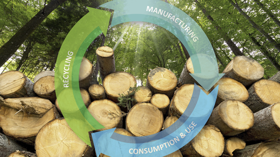 ERIFORE - Research Infrastructure for Circular Forest Bioeconomy