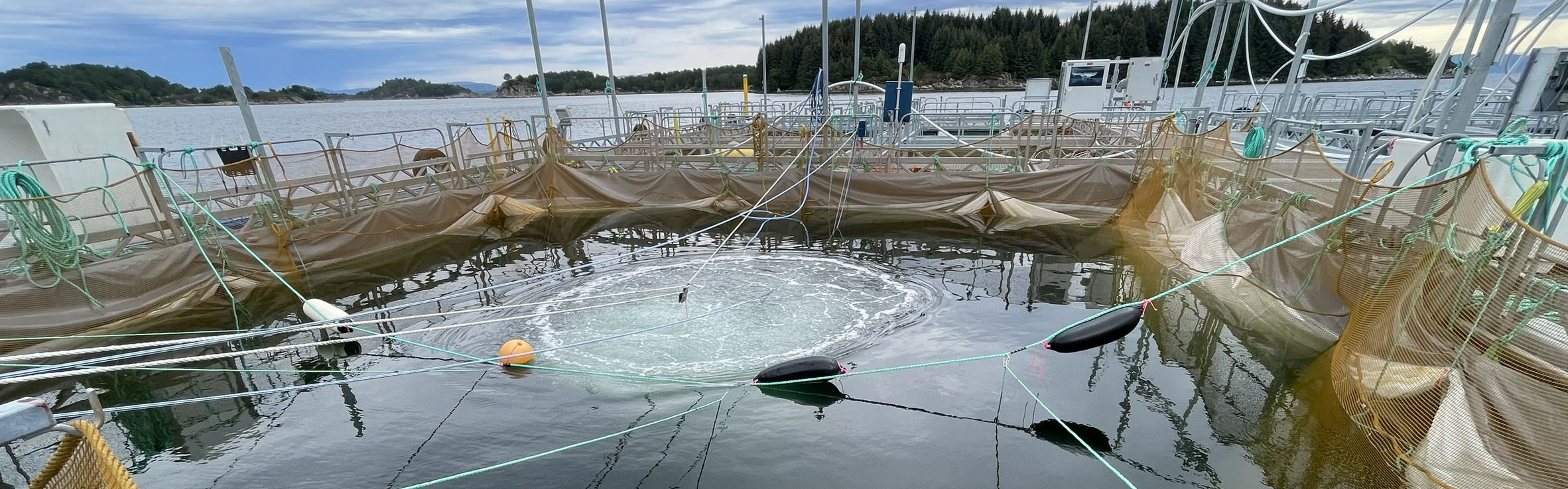 Photo of the aquaculture pen used at the Austevoll Research Station