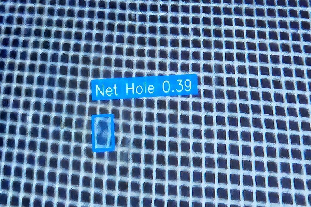 Net with a hole marked by a blue outline.