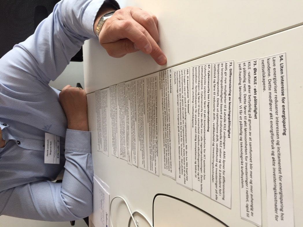 CINELDI partnermøte: Utvikle scenarier for fremtidens distribusjonsnett