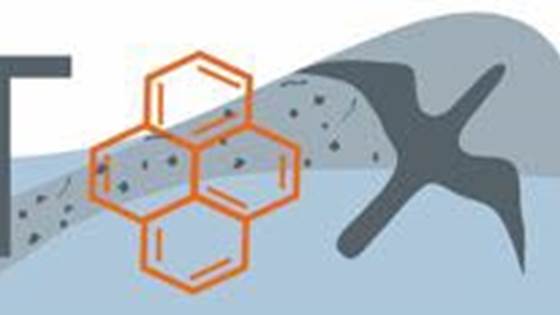 PLASTOX – Direct and indirect ecotoxicological impacts of microplastics on marine organisms