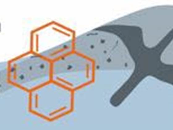 PLASTOX – Direct and indirect ecotoxicological impacts of microplastics on marine organisms