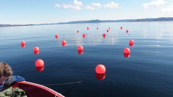 Nasjonal betydning av sjømatnæringen – en verdiskapingsanalyse