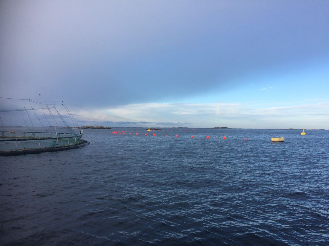 IMTA lokaliktet Jorunn Skjermo.jpg