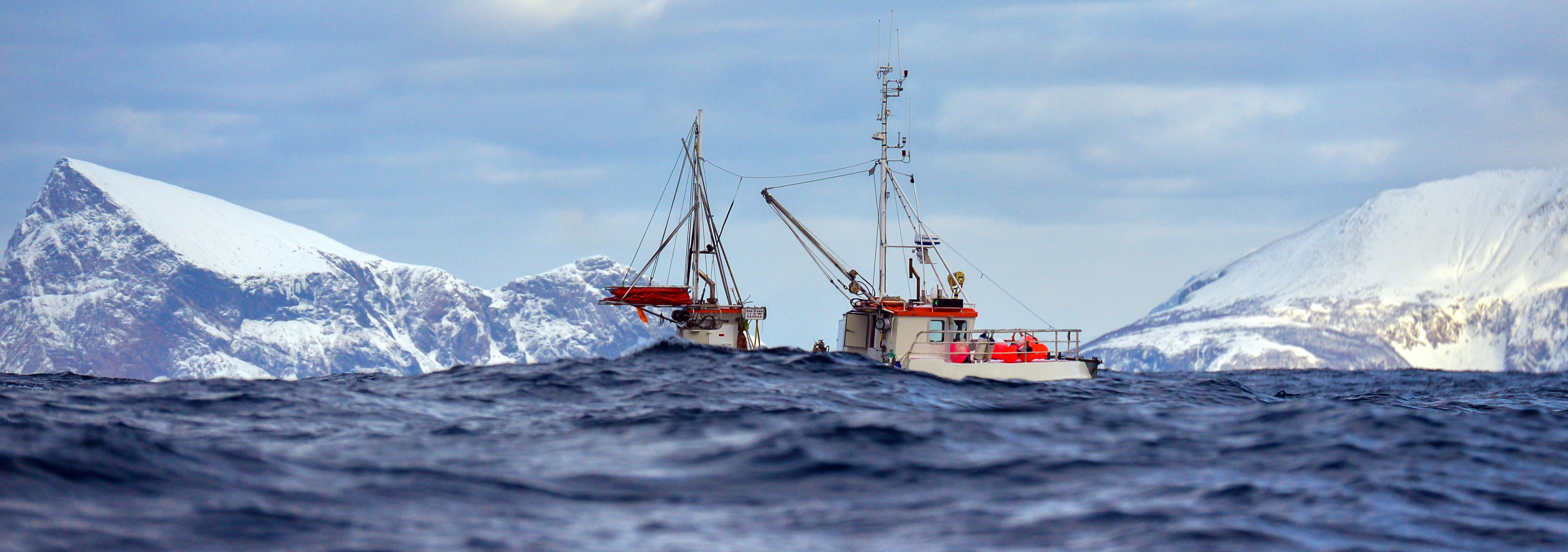Nytt EU prosjekt skal hindre overfisking og sikre naturmangfold