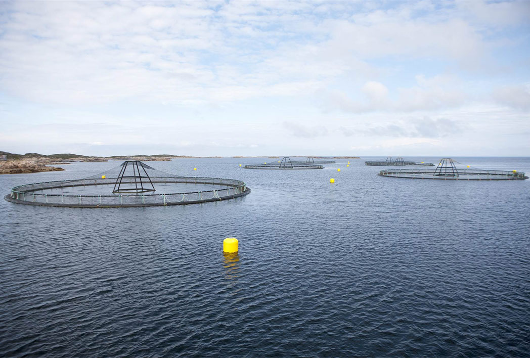 CiVaCh: Kortreiste verdikjeder for gjenvinning av plastavfall fra oppdrettsnæringen