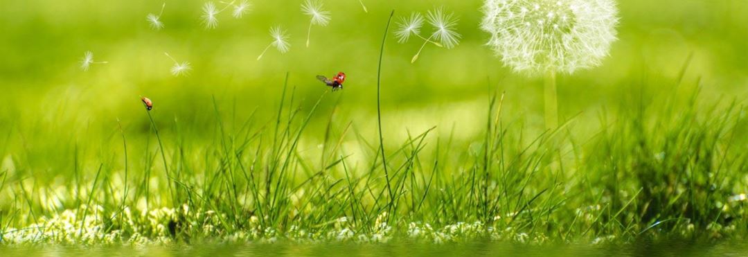 SINTEF deltar i arbeidspakke Lokalisering