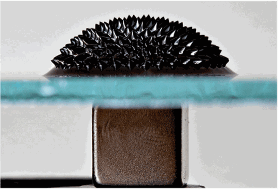 Illustration: Et ferrofluid formet av en magnet. (From Wikipedia)