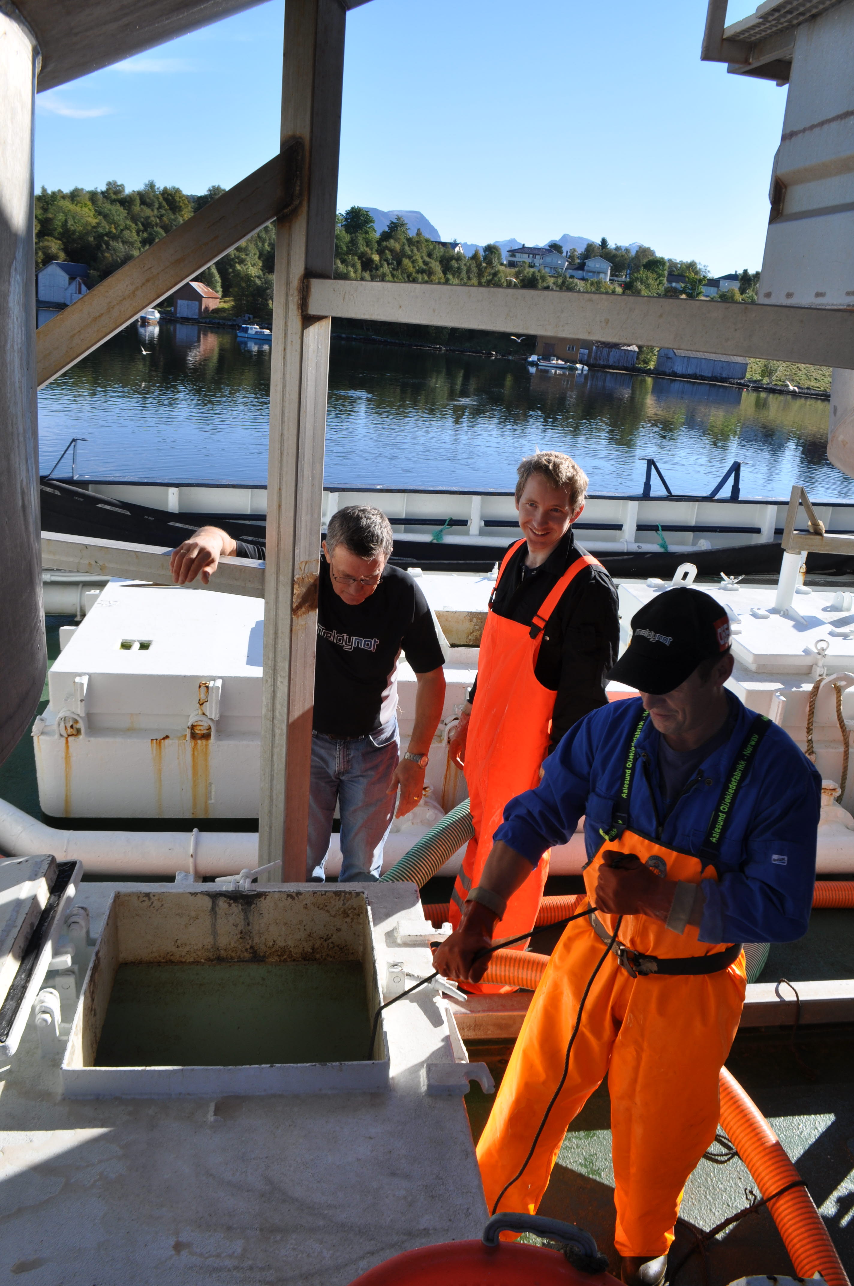 Optimal kjøling av pelagisk fisk i nedkjølt sjøvann