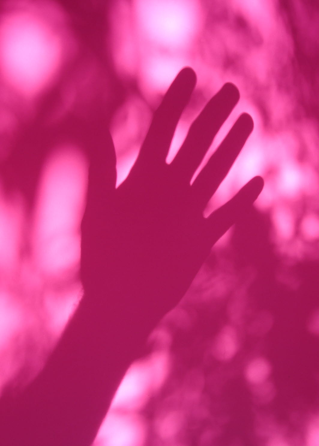 Kommunale tiltak i psykisk helsearbeid 2013. Årsverksstatistikk og analyser av kommunal variasjon