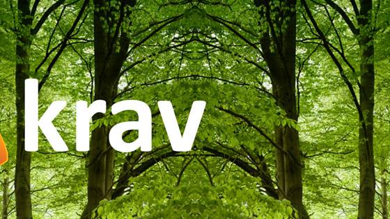 KRAV = KRAft + Varme (CHP) - combined heat and power production from biomass