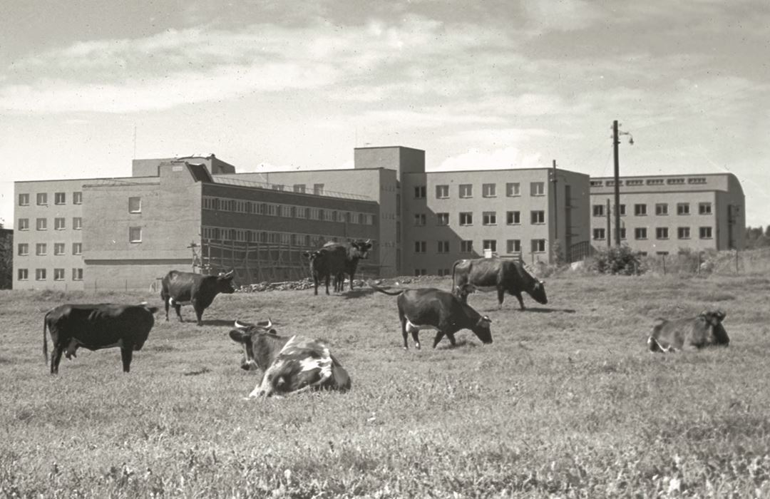 Sintefs kontor- og laboratoriebygg p&aring; Gaustad i Oslo ble tatt i bruk i 1956. Utseendet er knapt endret siden da. Foto: Sintef
