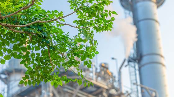 SENSATION - Sorbent Assisted Carbon Capture Tailored for Low CO2 Concentrations from Air and Low Industrial CO2 Emissions