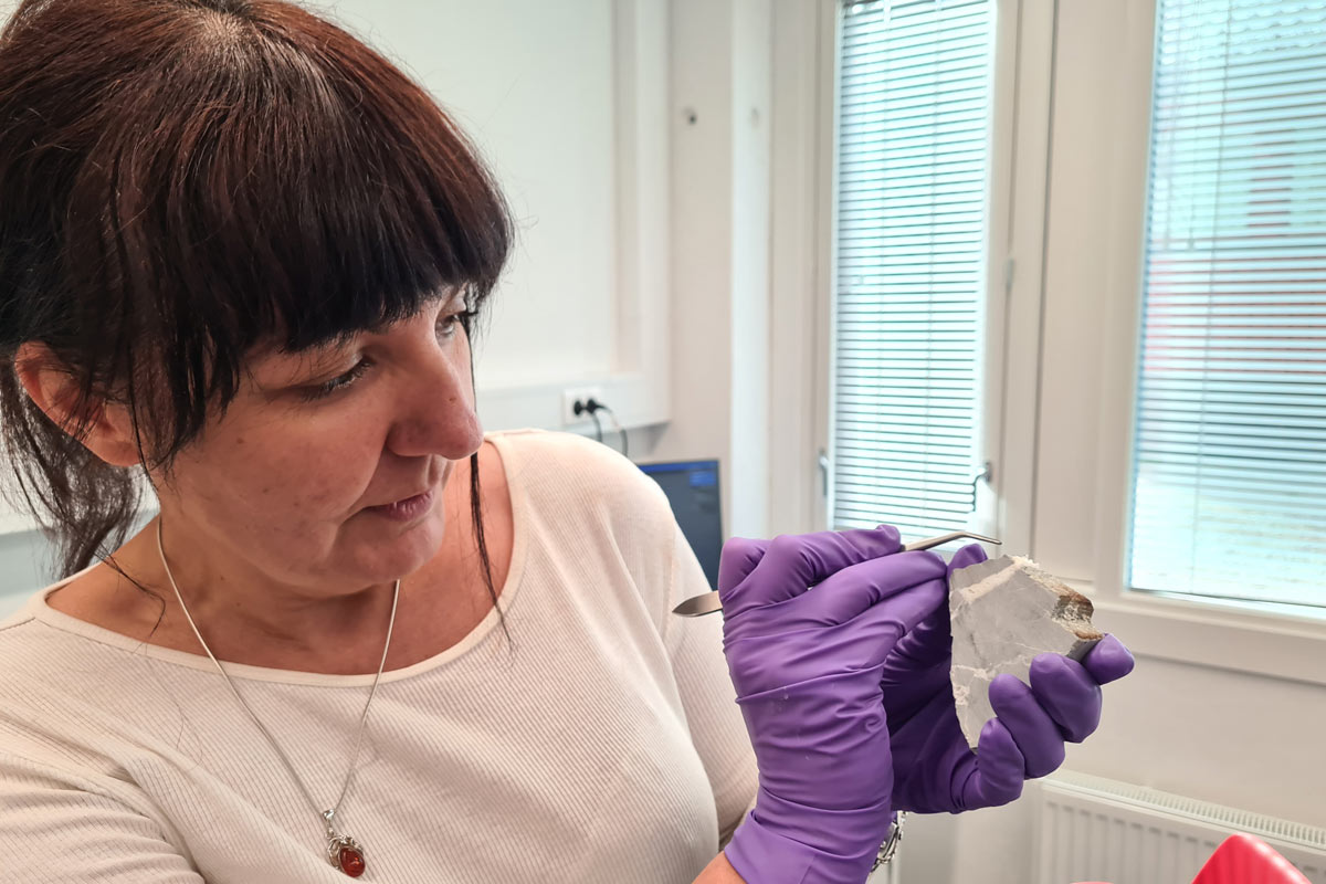 Sabina Strmic Palinkas (UiT) viser en kvartsåre i en sedimentær bergart som ble hentet opp fra Molloydjupet med ROV-en. I disse kvartsårene finnes det noen ganger væskeinklusjoner som kan gi informasjon om mineralets opprinnelse.