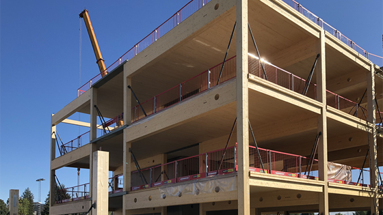 Bransjen trenger mer kunnskap om massivtre