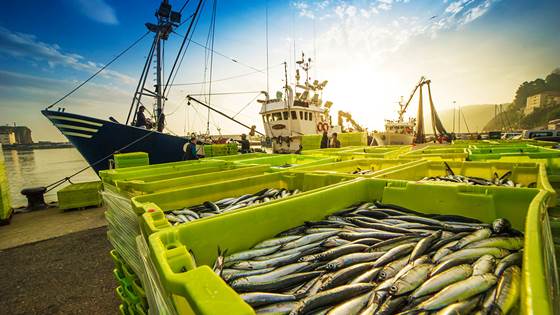 Norsk havgående fiskeflåte sysselsatte 21.000 årsverk