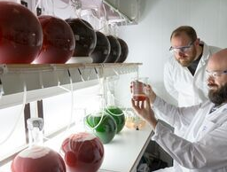 PLASTOX – Direkte - og indirekte økotoksikologiske effekter på marine organismer som følge av mikroplast