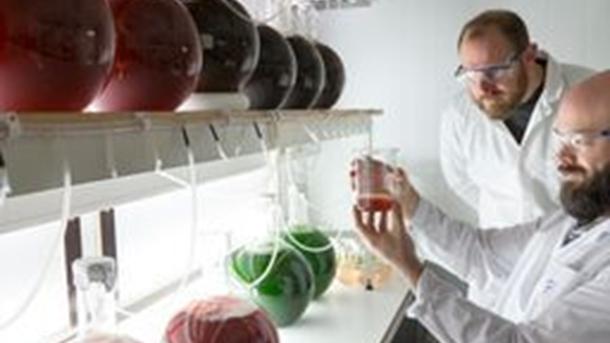 PLASTOX – Direkte - og indirekte økotoksikologiske effekter på marine organismer som følge av mikroplast