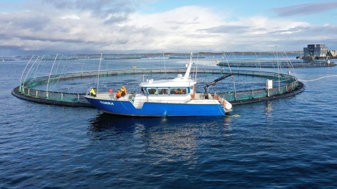 Båt ved oppdrettsmerd på Frøya.