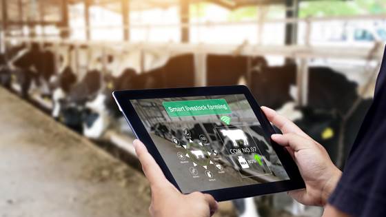 Fremtidens fôrsystem — Industri 5.0 for en bærekraftig agri-industri