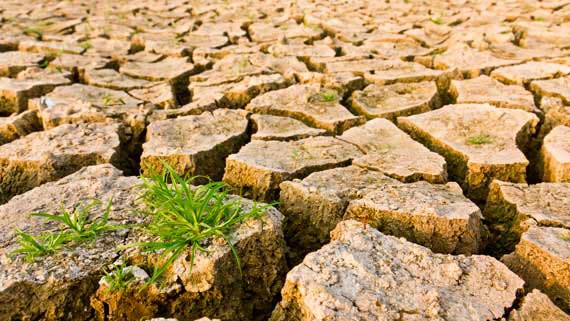 Lokal feber-kur for kloden